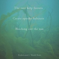 Naviarhaiku - The Vast Kelp Forests