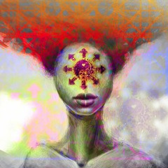 Meshuga - HumanDisorder
