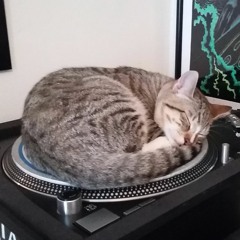 DJ Radiate - Traintreblig