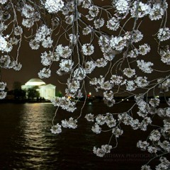 When You Know, You Know