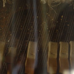 O Grivo_2006 / Track_03_Taças Martelo