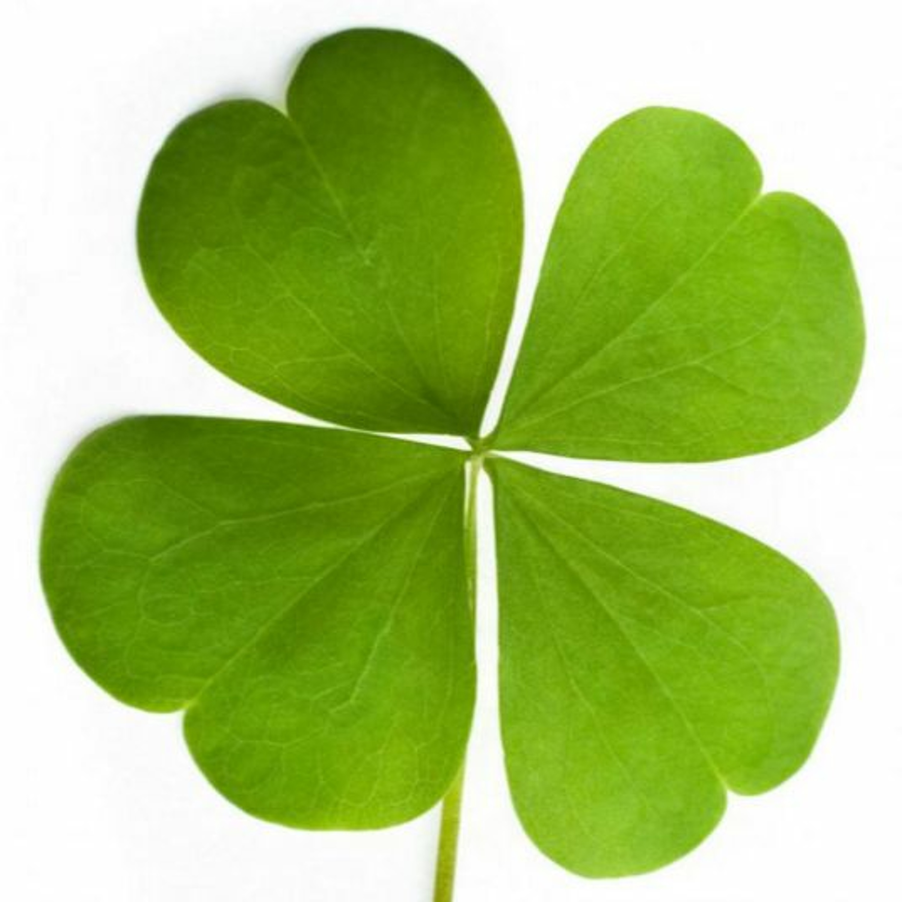#theREI360show Episode 40: The Power of Luck in Business and in Life episode artwork