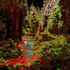 Ayahuasca ft. Twizzy & domsolo