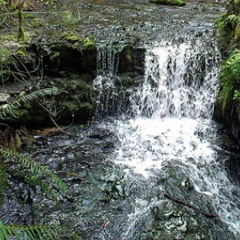 Sacred Waterfall Vibration