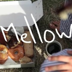 Walter Mitty And His Makeshift Orchestra - Mellow (live)