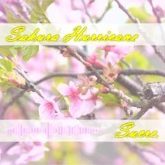 [SCR Archives] Sucre. - Sakura Hurricane [Free Upload in 2016]