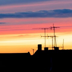 erster warmer Tag (2014)