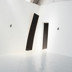 Women in Focus: Perspectives of a Female Artist