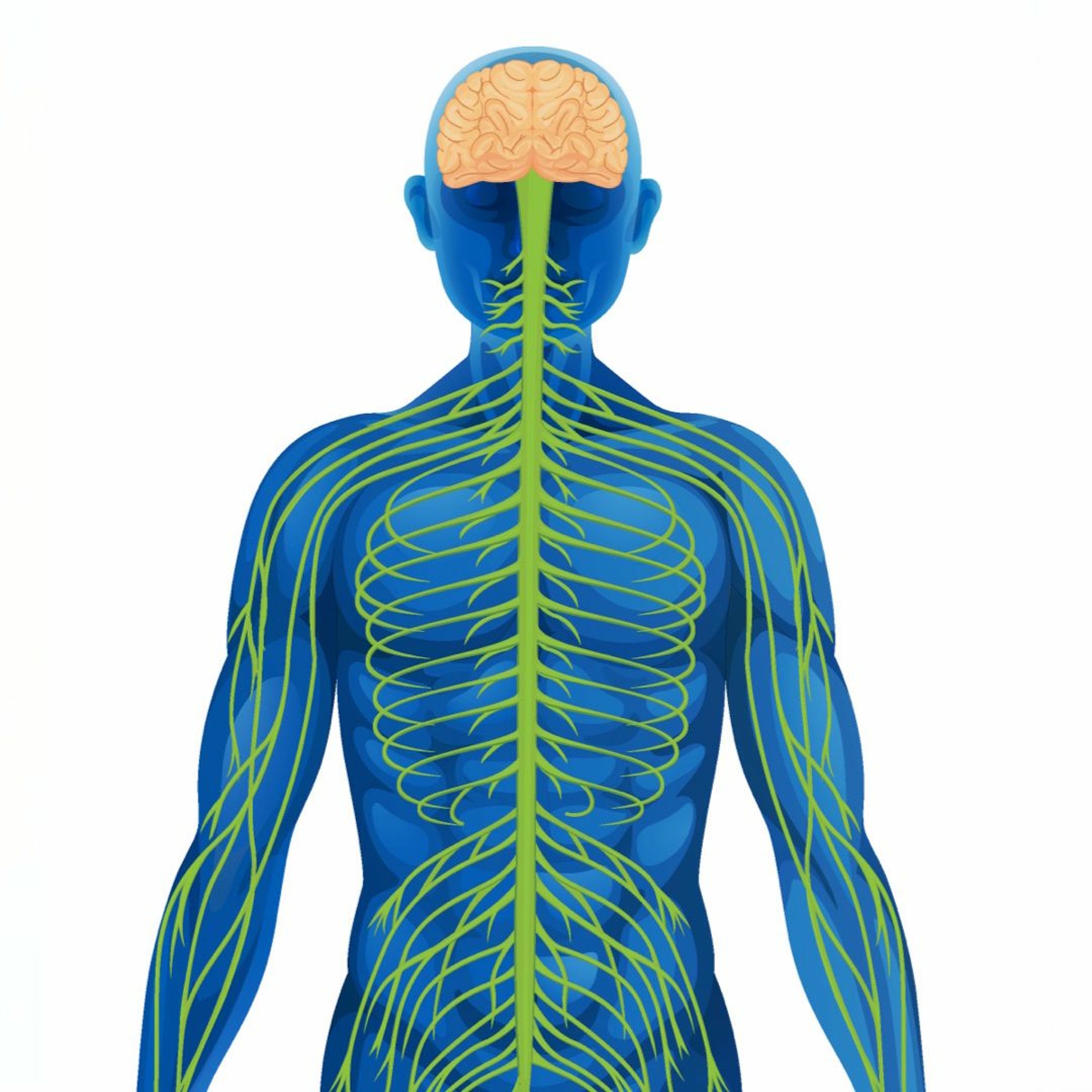 BioEnciclopedia