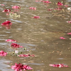 Diosa del Rio Gualcarque- Atahualpa Hernández