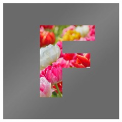 Rhino Soulsystem - Frühlingsgefühle (Spring Fever) Mix