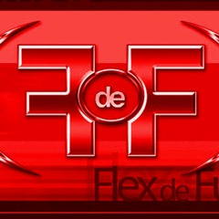 FlexdeFunk DJ Project - Reggae-Breaks Blend (more mixes on flexdefunk.com)