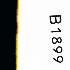 Suicide (Bad Decision)