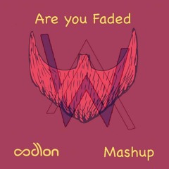 Are You Faded (eedion Mashup) - Alan Walker vs. Lost Frequencies