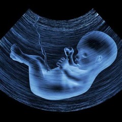 Unborn Child
