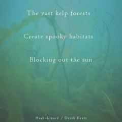Blocking OutThe Sun [Naviarhaiku117 - The Vast Kelp Forest]
