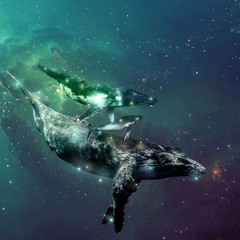 Space Whales