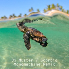 Monomachine & Dj Muster