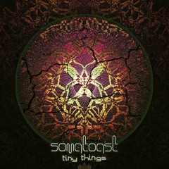 Somatoast - Bear Brains (Rute Remix)