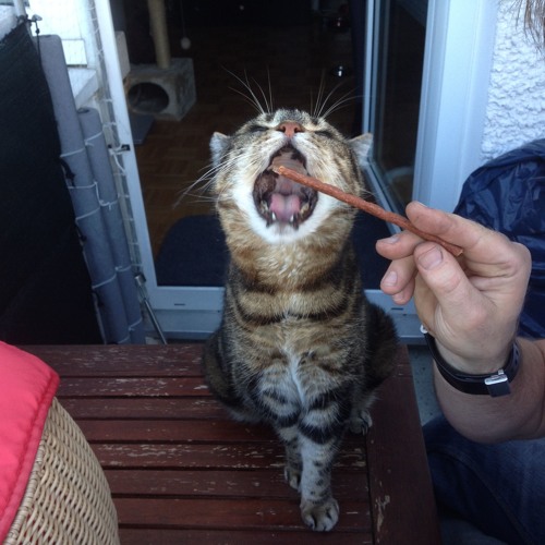 Korg Minilogue TR8b V1 April2