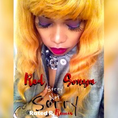 Sorry Not Sorry (Rated R Remix)