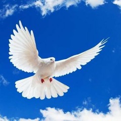 إني جعلتك في الفؤاد محدثي