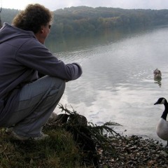 Flowing with the Tea - Karunesh and Kitaro