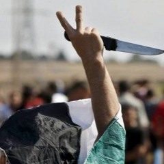 اهٍ فلسطين