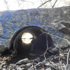 Lost Before I Left - Butterfly Bowtie