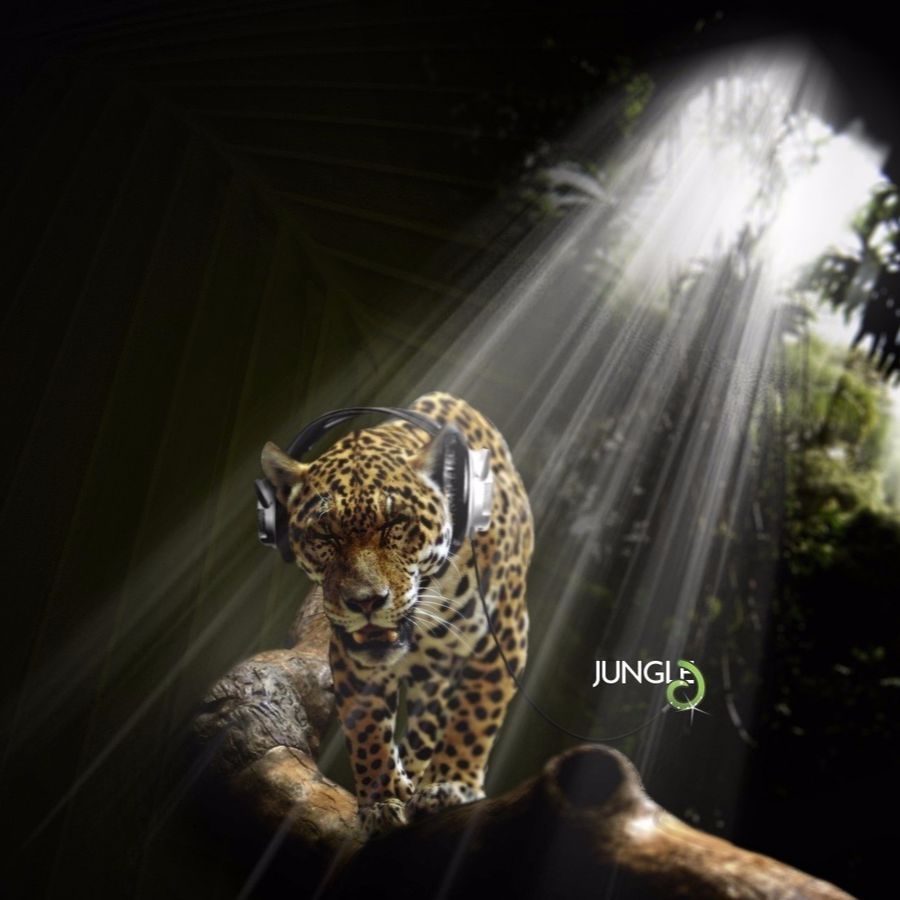 Smokey Joe – A Special Request