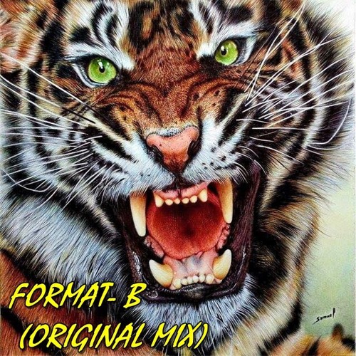 FORMAT B -  FULL SET