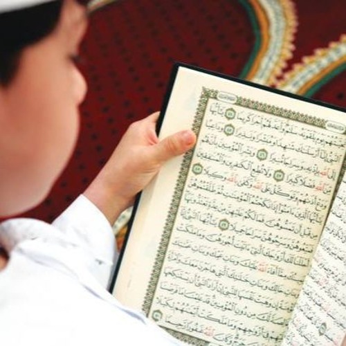 تلاوة رائعة جدا من سورة هود للقارئ محمد ابراهيم