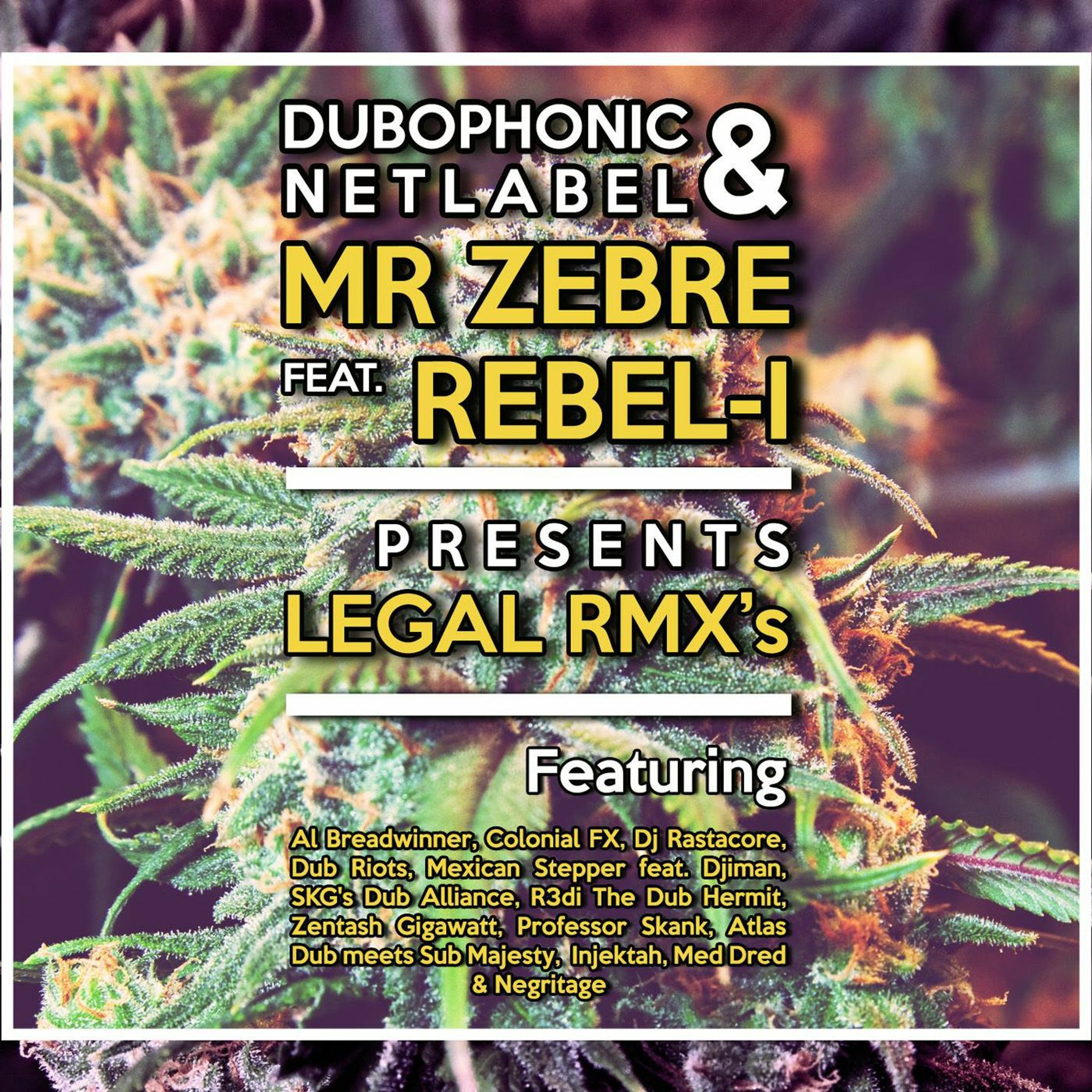 A Dubophonic Records Compilation