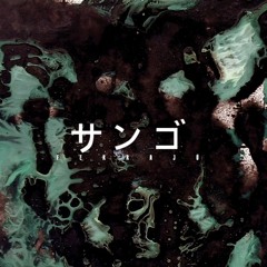 Fotosintesis (光合成 )