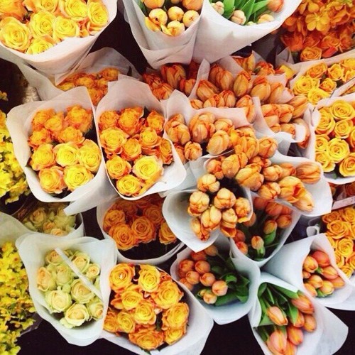 Dotan - 7 Layers (Sebastien Edit)