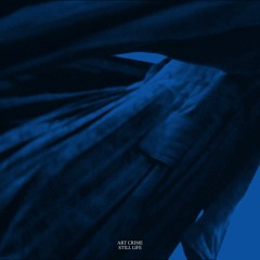 PNKMN15 - Art Crime - Still Life
