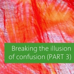 Breaking the Illusion of Confusion: Mastering Your Emotions and Mindset (PART 3) - David James Lees