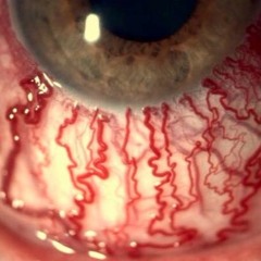 Metamorphosis (A short film by Fibre)