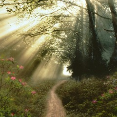 Aurality - Springtime Daydream