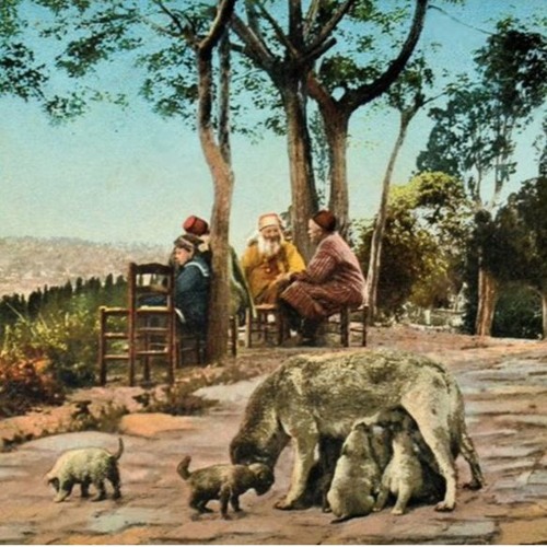 Sıradan Hiç Kimse Yoktur Dünyada