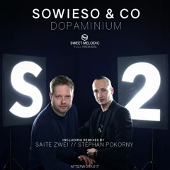 PREMIERE : Sowieso & Co - The Escape (Saite Zwei Remix)