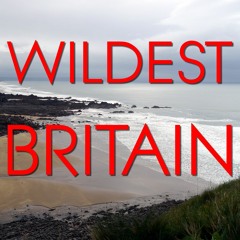 Wildest Victorian Britain