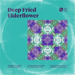 Deep Fried Elderflower