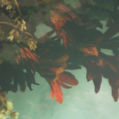 Yusuke Tsutsumi - I've Killed My Baby Boy Today (Olin 808 Edit)