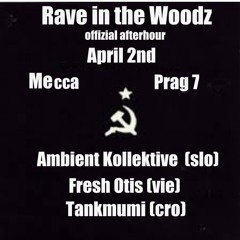 RaveInTheWoodsAfterhour (Prag)