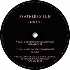 FEATHERED SUN -Bulbo-