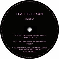FEATHERED SUN- BULBO