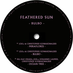 FEATHERED SUN- BULBO