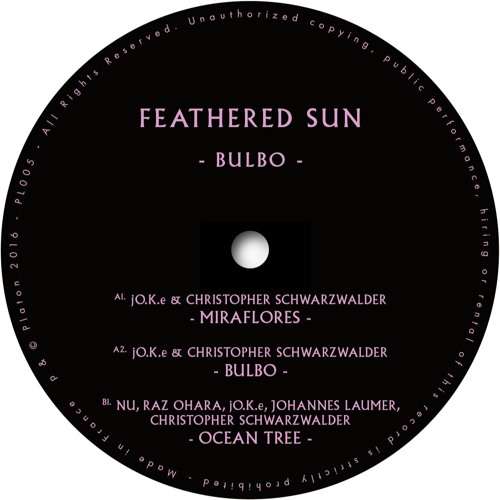 FEATHERED SUN- BULBO