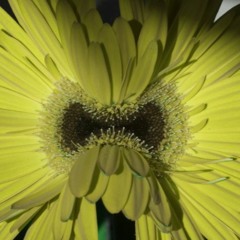 Talking To Plants With Commercials